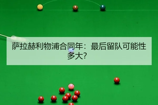 sa-la-he-li-wu-pu-he-tong-nian-zui-hou-liu-dui-ke-neng-xing-duo-da-3-663.jpg